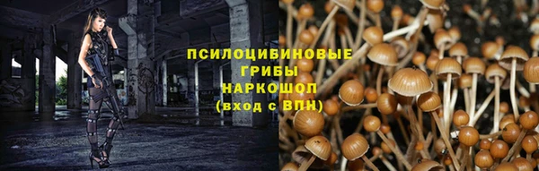 наркотики Алексин